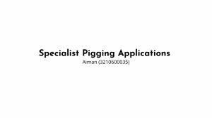 Specialist Pigging Applications
