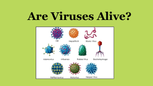 Are Viruses Alive 