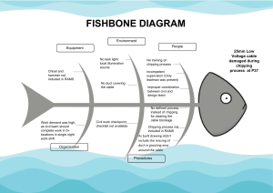 Fishbone Diagram PDF