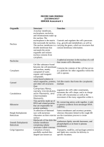 Cell Organelles