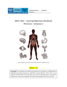 Anatomy I Workbook