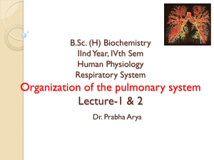 Group C-III-Human Physiology, Respiratory System-1 & 2