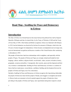 Roadmap for Seedling for Peace and Democracy in Eritrea.docx - Google Docs