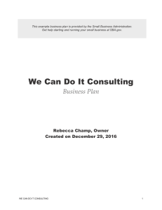 Sample Business Plan - We Can Do It Consulting
