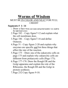Worms of Wisdom Review