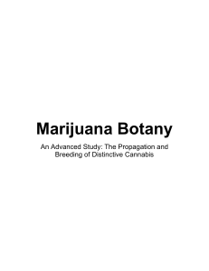 Marijuana Botany ( PDFDrive.com )