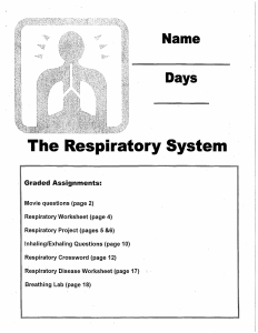 Respiratory System Packet 14 2