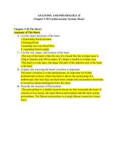 Chapter # 20 AP II definitions and review questions (group version)