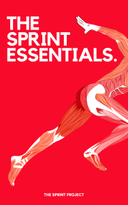 THE SPRINT ESSENTIALS by the sprint project 