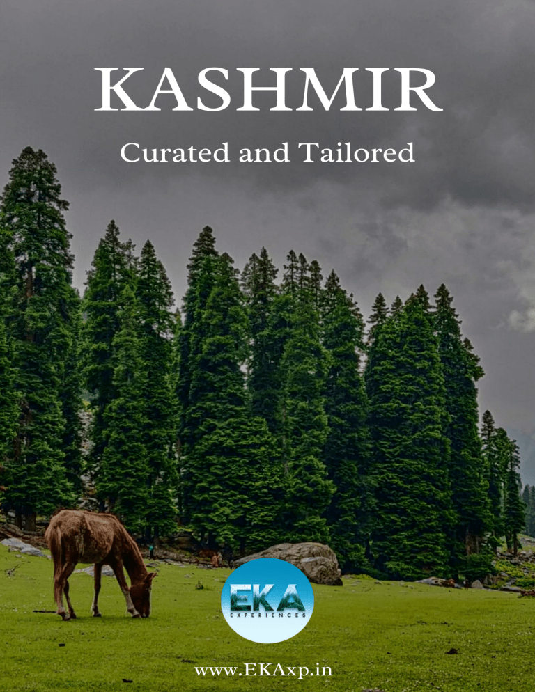 kashmir tour guide pdf