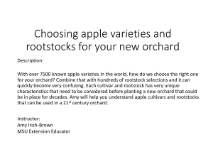 Beginning Farmer Series - Choosing apple varieties and rootstocks for your new orchard Compressed