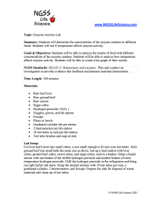 enzyme activity lab