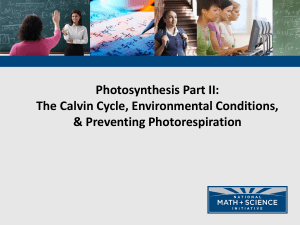 Calvin Cycle, Photorespiration & Photosynthesis Factors