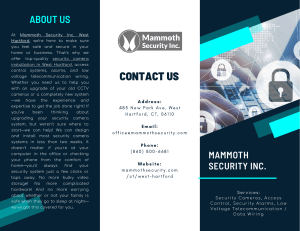 2995371c - Mammoth Security Inc. West Hartford (Brochure 4)