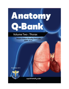 Anatomy Q Bank Thorax