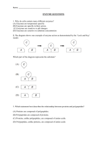 Enzyme questions