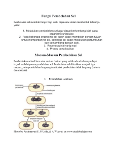 Fungsi Pembelahan Sel