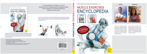 Muscle Exercises Encyclopedia - More Than 400 Excercises to Increase Your Muscle Size