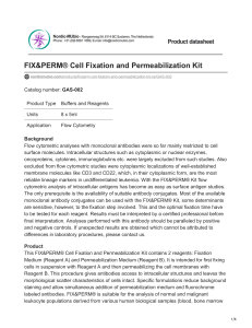 nordicmubio.com-FIXampPERM Cell Fixation and Permeabilization Kit