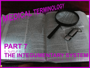 176-Med-Term-Part-7