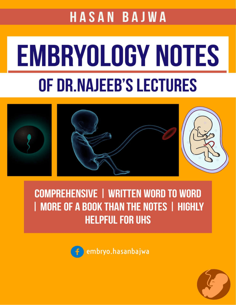 embryology lectures by dr najeeb