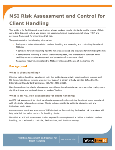 MSI Risk Assessment Control and Client Handling