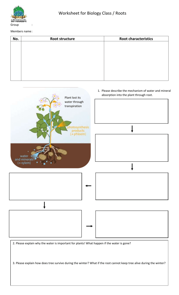 Worksheet Roots