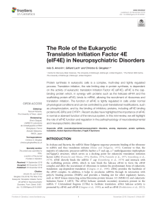 The Role of the Eukaryotic Translation Initiation Factor 4E in Neuropsychiatric Disorders