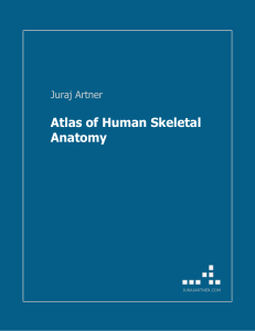 Atlas Of Human Skeletal Anatomy - Juraj Artner