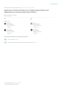 Application of Statistical Indicators for Digital Image Analysis and Segmentation in Sorting of Agriculture Products