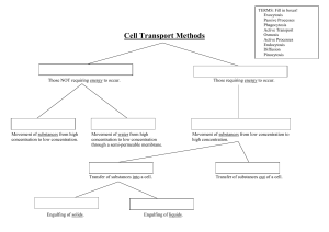 Cell Transport MethodsWorksheet