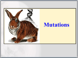 Mutations and Genetic Disorders Presentation