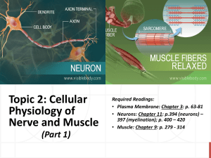 T2 Cellular Physiology of Nerve & Muscle Part 1