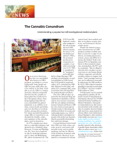 The Cannabis Conundrum.6