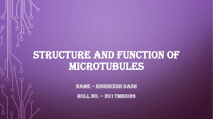 STRUCTURE AND FUNCTION OF MICROTUBLES