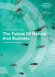 WEF The Future Of Nature And Business 2020