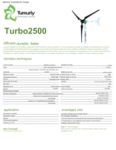 Tumurly® Turbo2500 Wind Turbine Datasheet (2)