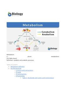metabolism with Details