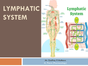 lymphatic system