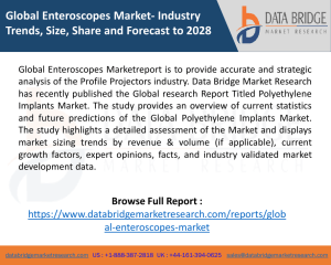 Global Enteroscopes Market