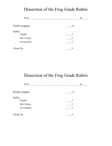Dissection of the Frog Grade Rubric