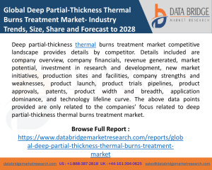 Global Deep Partial-Thickness Thermal Burns Treatment Market-
