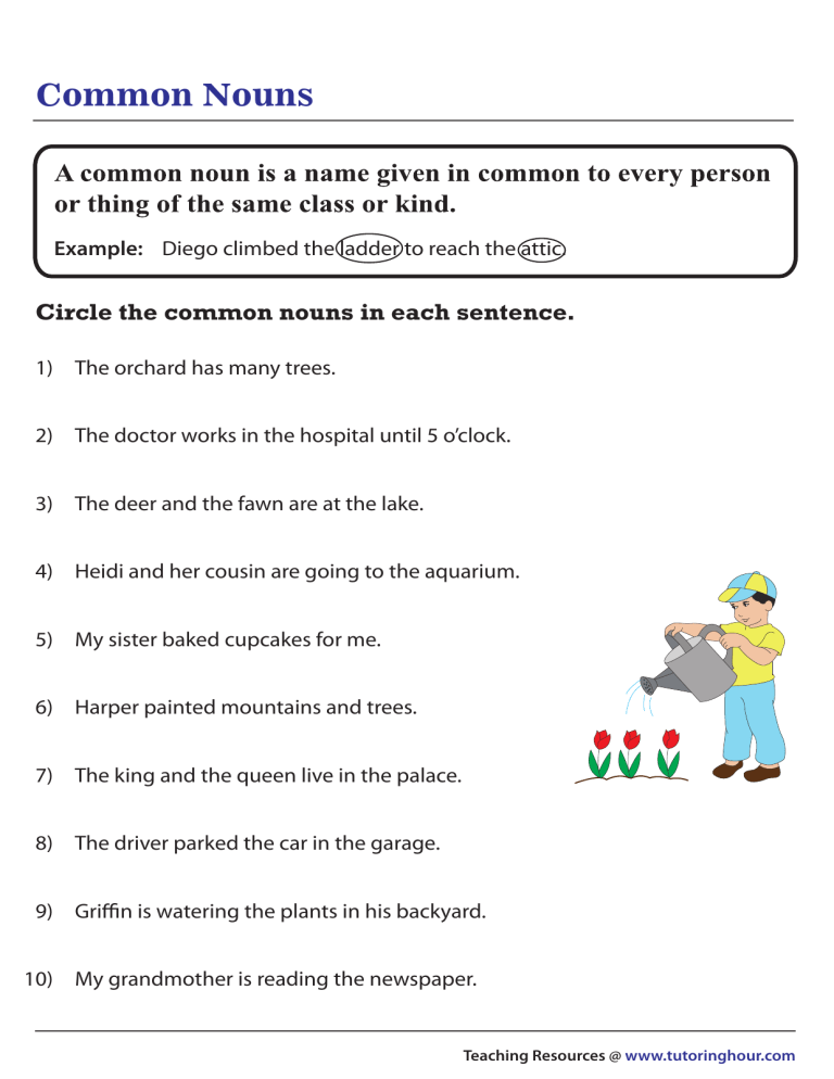 Common Nouns For Grade 1