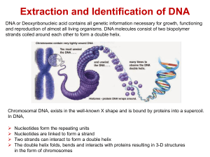 DNA Extraction and Identification: Structure & Methods