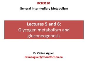 BCH3120 lecture 5&6-glycogen-gluconeogenesis final