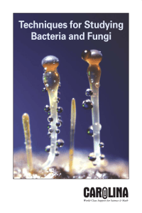 carolina-biological-techniques-studying-bacteria-fungi-brochure