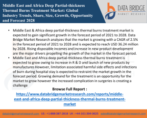 Middle East & Africa deep partial-thickness thermal burns treatment market