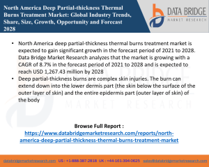 North America Deep Partial-Thickness Thermal Burns Treatment Market
