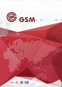 GSM Company Brochure