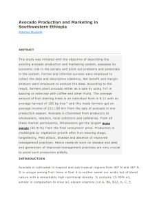 Avocado Production and Marketing in Southwestern Ethiopia